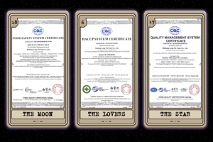 IQF China snacks vegetales congelados rollo de primavera - Product Image 6