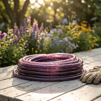 Tuyau en PVC transparent violet durable de 30 m, résistant aux UV et aux intempéries, flexible, avec connecteurs étanches