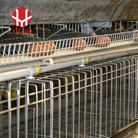 Cage à poules pondeuses de type A à 3 niveaux avec alimentation automatique, abreuvoir à tétine, courroie de fumier, collecte des œufs, poulailler galvanisé