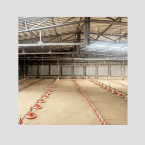 Nuevo sistema moderno de alimentación y bebedero para cerdos - Product Image 1