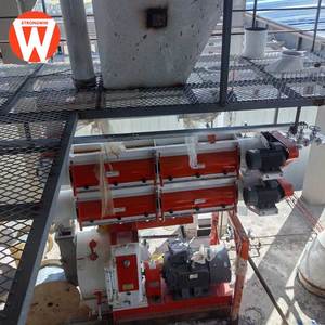 Impianto di Produzione Mangimi per Animali Strongwin, <span class=keywords><strong>30</strong></span>° Anniversario, Nuova Alta Produttività 30t/h 1000kw - Product Image 3