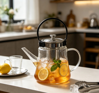 Théière Wuso Classic en verre borosilicate transparent et lisse avec poignée en métal noir et infuseur durable en acier inoxydable pour thé en vrac