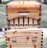 Heißer Verkauf: 7-teiliges automatisches Honigfluss-Gestell aus lebensmittelechtem Kunststoff – einfache Honigernte, Imkereiausrüstung