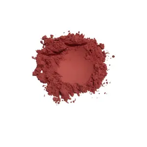 High Quality Inclusion Stain Red Ceramic Colour Pigment