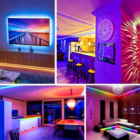 Bande LED RGB IC programmable 12V 24V 576 LED par mètre 8W+16W/M PCB 10mm IP20 Ruban lumineux flexible découpable