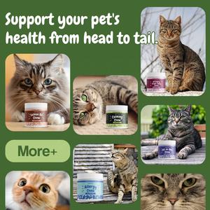 תווית פרטית לב חתול תוספת בריאות שמן סלמון טורין l-קרניטין עוזרד ברי ארגינין לטיפול בריאות לחיות מחמד - Product Image 2