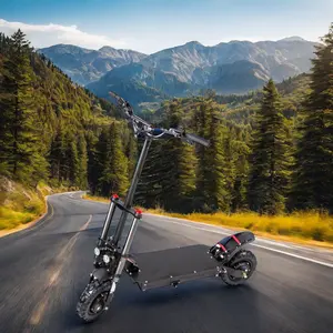 Powerful 60V High-Speed Dual Motor Electric Motorcycle 2000W-3000W New Off-Road Electric Scooter