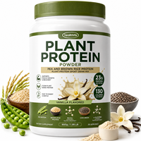 Poudre de protéines végétales Healthife OEM, mélange de protéines végétales à base de riz et de chia avec BCAA et L-glutamine