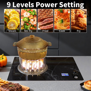 Nueva Placa de Inducción de Acero Inoxidable de 2200W, Integrada, con Panel de Cristal Negro, 9 Niveles de Potencia, Función de Temporizador, para el Hogar - Product Image 4