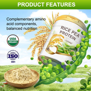 AMULYN <span class=keywords><strong>Protein</strong></span> takviyesi takviyesi % NON-GMO glutensiz <span class=keywords><strong>Vegan</strong></span> <span class=keywords><strong>Protein</strong></span> karışımı tozu pirinç bezelye proteini izolatı - Product Image 2