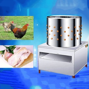 Nuevo Original automática desplumado de sacrificio equipo de acero inoxidable pluma removedor de pollo máquina desplumadora/ - Product Image 3