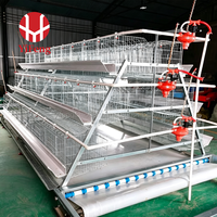 Cage d'élevage de type A, système d'élevage de poussins haute capacité, utilisé dans les projets d'élevage avicole, fabricant d'équipements d'élevage de poulets