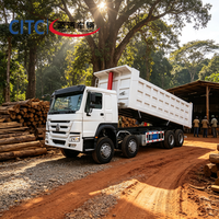 Экономичный самосвал Sinotruk Howo 8x4 с низким расходом топлива для строительства дорог в Африке