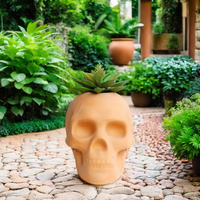 Vente chaude Pot de fleurs en terre cuite en forme de tête pour cactus Plante succulente Jardinière Design moderne Écologique pour l'art du jardin
