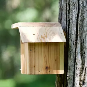 Carolina Wren - Wood Bird House Linseed Oil On The Finished Product