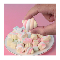 Vente chaude Fruité Personnalisé Aromatisé En Forme De Pastèque Guimauve Bonbons Usage Quotidien Emballé Dans Un Sac
