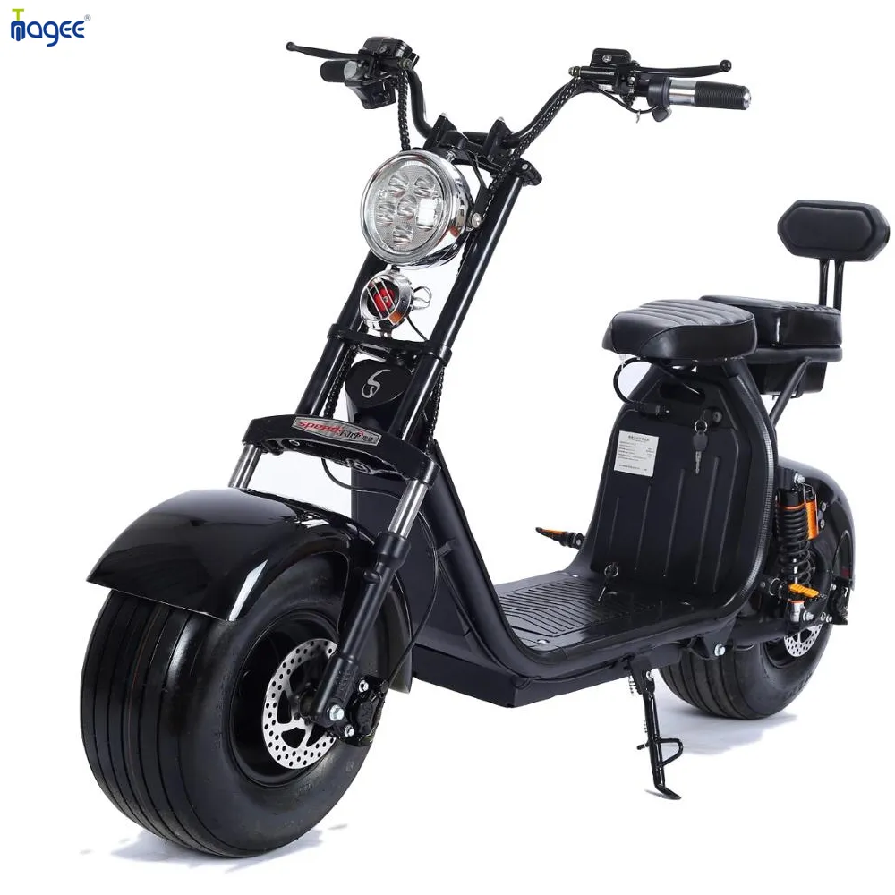 2024 fábrica nuevo marco de acero scooters eléctricos 1500W sin escobillas Citycoco adulto motocicleta eléctrica para hombres freno de disco Doble