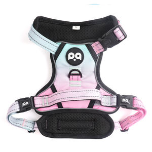 Arnés de Diseño para Perro con Logotipo Personalizado, Alta Calidad, Neopreno, Terciopelo, Ajustable, Antitirones, Conjunto de Arnés y Correa de Lujo para Perro - Product Image 2