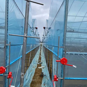 Film PC Sheet Single-Span Hydroponic Strawberry and Tomato Growing Greenhouse Projet clé <span class=keywords><strong>en</strong></span> main Poly Tunnel - Product Image 3