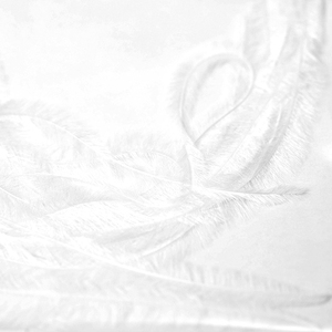 Decoración de Uñas con Plumas Naturales Delgadas, 8 Colores, Accesorios para Manicura DIY, Material Auxiliar al por Mayor - Product Image 6