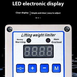 Chất lượng cao trọng lượng nhẹ 1t quá tải trọng lượng giới hạn máy móc xây dựng một phần cho cần cẩu Palăng điện - Product Image 5