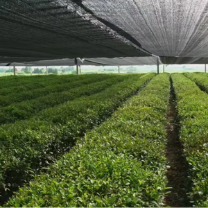 Tốt Nhất <span class=keywords><strong>HDPE</strong></span> Dệt Bóng Râm <span class=keywords><strong>Net</strong></span> Cho Rau Bảo Vệ Bóng Râm <span class=keywords><strong>Net</strong></span> - Product Image 1