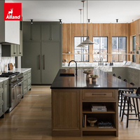 Ensemble complet d'armoires de cuisine Alland de haute qualité, suspendues au mur, de couleur verte rétro, avec un design de menuiserie vert