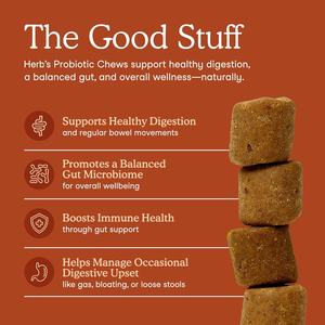 OEM ODM Private Pets <b>Probiotics</b> for <b>Dogs</b> with Prebiotics Promotes a Balanced Gut Microbiome - Boosts Immune Health Soft Chews - Product Image 2