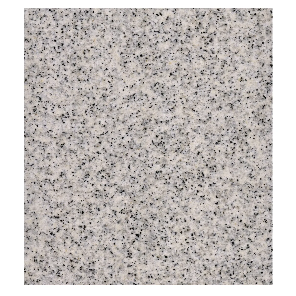 Shandong Natural Light Gray Granite Pavers Modern White Hemp Gray Granite Tile for Exterior for Villas Hotels Parks