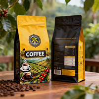 Sachets d'emballage personnalisés en plastique à fond plat carré de 250g et 500g pour café en poudre et grains, avec valve et fermeture éclair