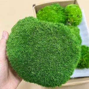 Bun moss in bulk for green walls