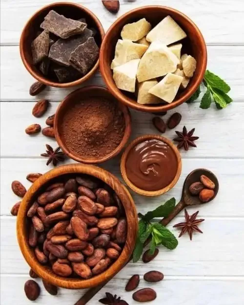 High Quality Peruvian Organic Cocoa Powder Theobromina Cacao Raw Powder For Food Industry