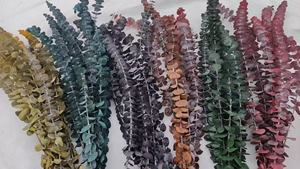 باقة أوراق الأوكالبتوس المحفوظة عالية الجودة بسعر رخيص للبيع بالجملة لتزيين حفلات الزفاف والمنزل - Product Image 6