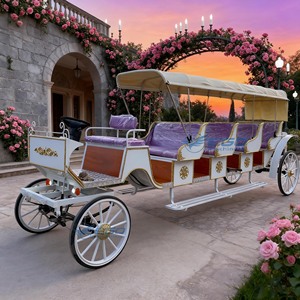 Charrette à Chevaux à Prix Compétitif à Vendre / Carrosse Électrique pour Mariage / Buggy à Chevaux pour Mariée - Product Image 1