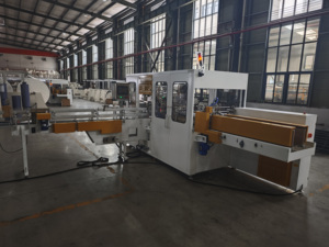 Macchina per Confezionamento Tridimensionale di Fazzoletti Morbidi Completamente Automatica Xinyun, Motore con Riduttore, 100-150 Pacchetti/Min, 380V 50Hz, Certificazione CE - Product Image 3