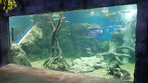 Dự Án tấm kính <span class=keywords><strong>Acrylic</strong></span> trong suốt tùy chỉnh - Product Image 4