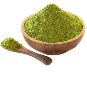 Organic moringa leaf powder/moringa seed powder moringa herb
