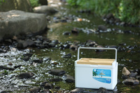OEM ODM 11L Glacière Glacière Pour La Pêche Moulage Par Injection Glacière Camping Randonnée École
