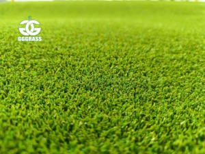 Césped de campo de Golf de 15mm, césped de Golf <span class=keywords><strong>Artificial</strong></span>, duradero, Verde - Product Image 5