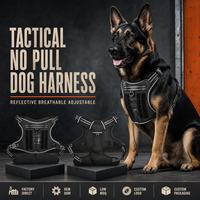 Harnais tactique imperméable pour chien, anti-traction, réfléchissant, réglable, avec anneau en D, pour l'entraînement urbain et la promenade en extérieur (vente en gros)