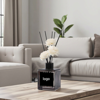 Diffuseur de parfum d'aromathérapie écologique avec logo personnalisable, bouteille de parfum de maison vide, recharge sans flamme pour assainisseurs d'air