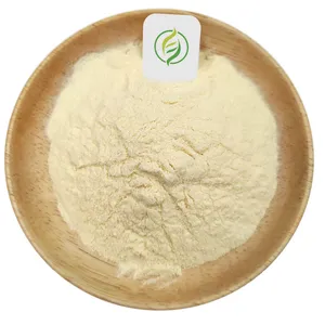 Massal Bahan Baku Asam Thioctic 1077-28-7 Alpha Lipoic Acid Powder Alpha Lipoic Acid