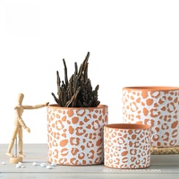 Fournitures de jardin Décor nordique coloré Imprimé léopard Pot de plantes succulentes Pots de fleurs en céramique Planteur en terre cuite