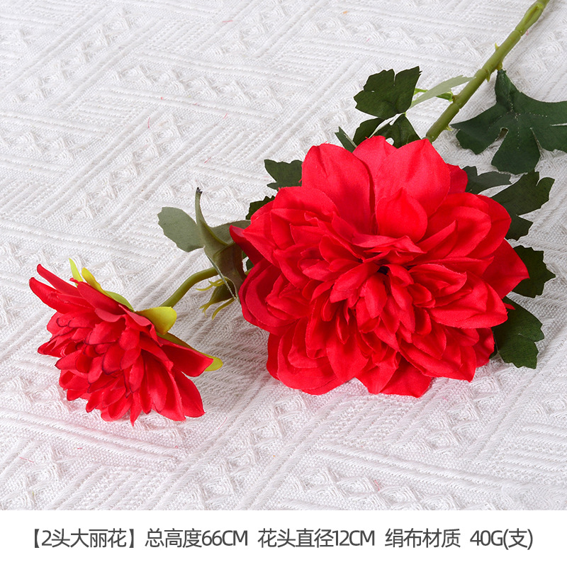 2 têtes Dahlia Rouge
