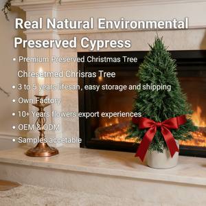 Mini Árbol <span class=keywords><strong>de</strong></span> <span class=keywords><strong>Navidad</strong></span> Artificial <span class=keywords><strong>de</strong></span> Mesa, Decoración Navideña para Interiores, Directo <span class=keywords><strong>de</strong></span> Fábrica - Product Image 2