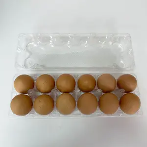 صينية بيض دجاج بلاستيكية قابلة لإعادة الاستخدام 12 كرتونة من البلاستيك