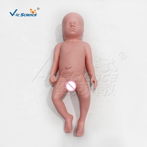 Modelo <span class=keywords><strong>de</strong></span> Bebé Flexible que Puede Pasar por la Pelvis para Demostración <span class=keywords><strong>de</strong></span> Parto en Obstetricia, Entrenamiento <span class=keywords><strong>de</strong></span> Enfermería - Product Image 6