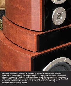 Haut-parleur de luxe pour villa Kyyslb de 12 pouces, amplificateur, haut-parleur haute fidélité, enceintes 2.1 - Product Image 4