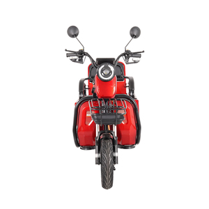 Motocicleta Eléctrica <span class=keywords><strong>de</strong></span> 3 <span class=keywords><strong>Ruedas</strong></span> <span class=keywords><strong>de</strong></span> 600W-1000W, Potente Triciclo <span class=keywords><strong>de</strong></span> Carrocería Abierta para Adultos, Gran Venta, 48v/60v - Product Image 6