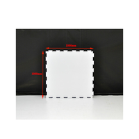 Dalle de sol de glace synthétique en plastique ZSPE patinoires sur glace synthétiques uhmwpe plaque de tir de hockey artificielle tuiles de hockey skateable